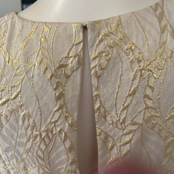 Lilly Pulitzer shift dress size small - Picture 5 of 6